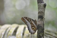098