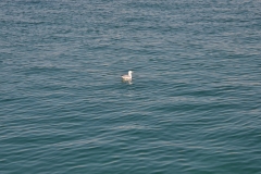 198