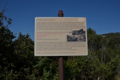 200